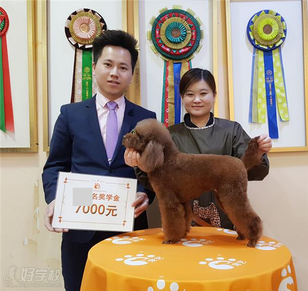 北京宠艺学子心声-北京宠艺宠物美容师培训中