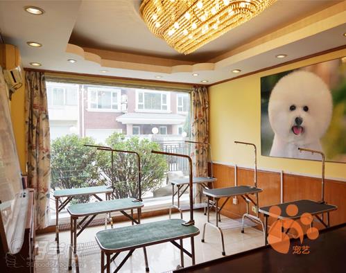 宠艺宠物美容师培训学校环境