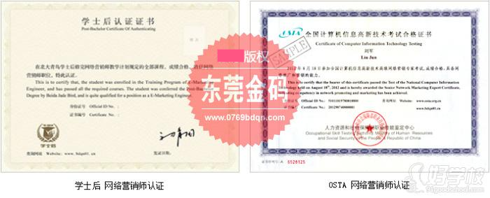 学士后网络营销师课程