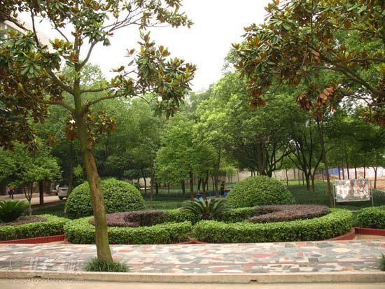 娄底电气自动化与电气技术专业初中起点3年中