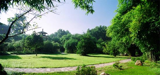 武汉理工大学网络教育《汽车服务工程》本科深