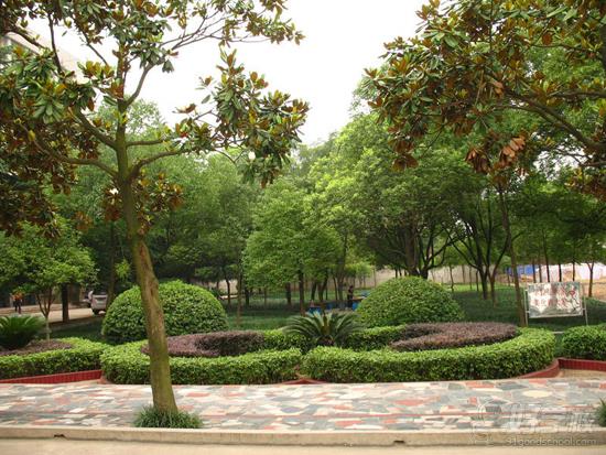 娄底汽车维修专业初中起点4年高技大专班-娄底