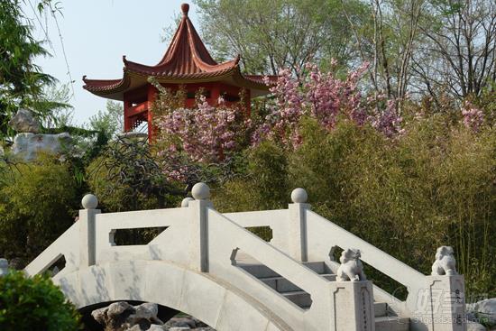 东北财经大学远程教育《旅游管理(酒店管理方