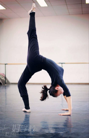 南京艺考专业培训班(名师教导)