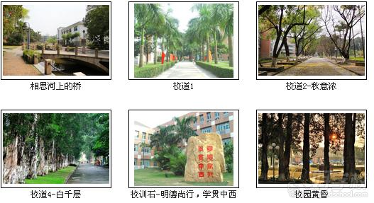 广东外语外贸大学《国际贸易》专升本广州班