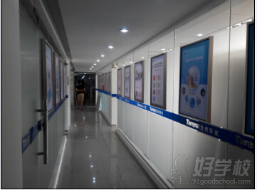 .NET+3G+云计算软件工程师培训班-广州达内教