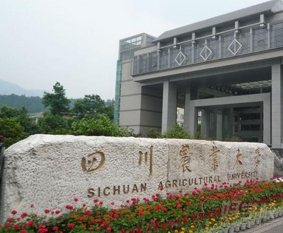 四川农业大学网络教育《建筑工程技术》专科广