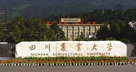 四川农业大学现代远程教育专升本北京报名-北