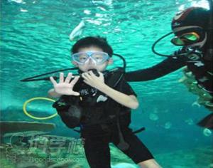 深圳青少年生存体验训练营活动-深圳致远国学