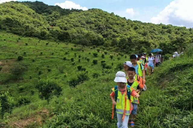 深圳周末亲子游活动项目-深圳致远国学教育-【