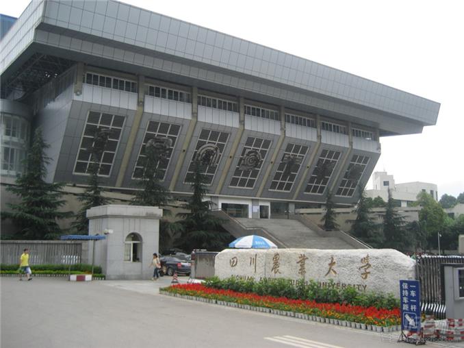 四川农业大学网络教育专升本学历深圳报名