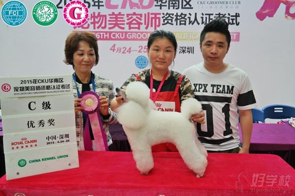 广州宠物美容C-B级连读培训班-广州布朗熊宠