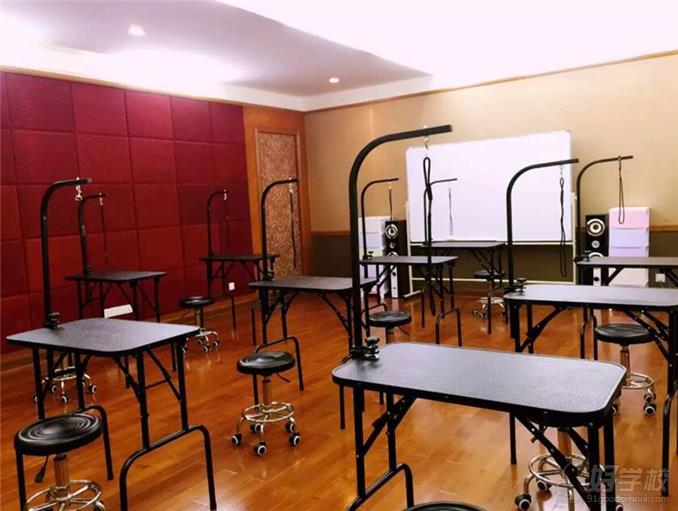 广州宠物店开店营运培训班-广州布朗熊宠物美