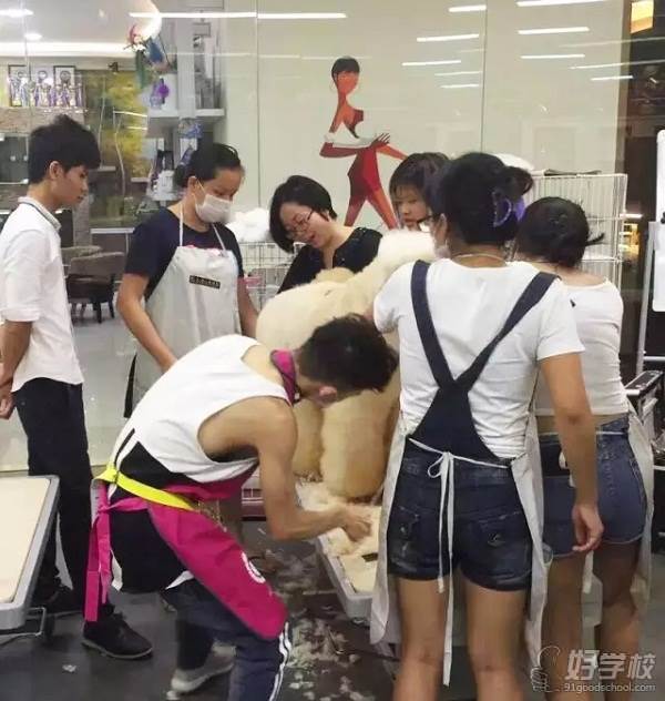 广州尊宠国际宠物美容学校 上课现场 广州尊宠国际宠物美容学校 上课现场