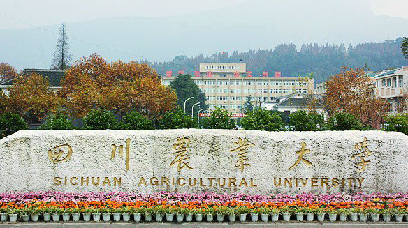 四川农业大学大门图片图片