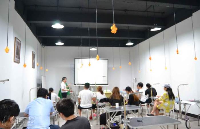 广州贵宾之家宠物美容培训学校 上课现场 广州贵宾之家宠物美容培训学校 上课现场
