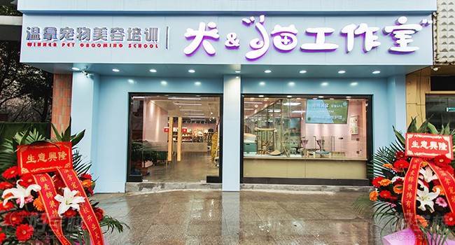 合肥温拿宠物美容 学校环境 合肥温拿宠物美容 学校环境